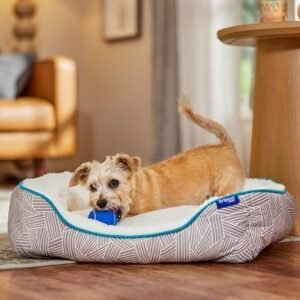 frisco dog bed