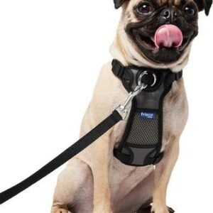 frisco harness