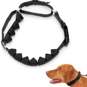 petsafe collar
