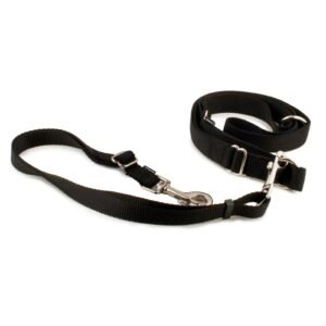 petsafe leash